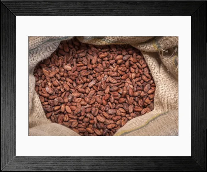 Framed Print : Africa, Sao Tome and Principe. Dried cocoa beans for the chocolate factory Framed Print : Africa, Sao Tome and Principe. Dried cocoa beans for the chocolate factory