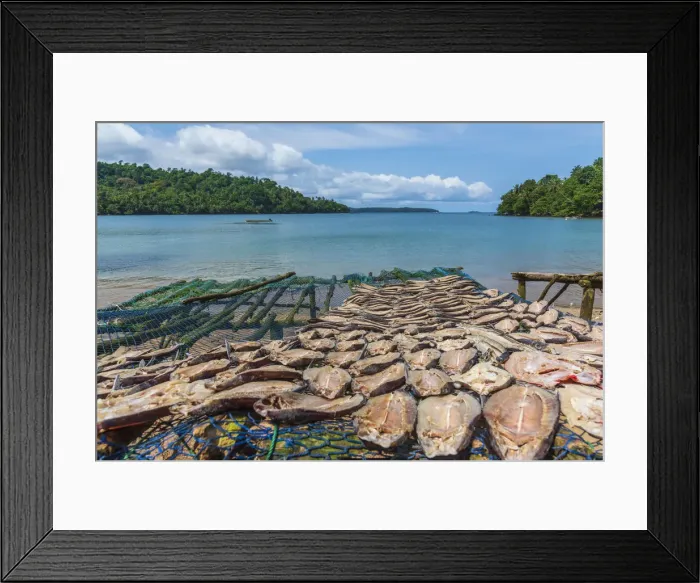 Framed Print : Africa, SA£o Toma and Principe. Drying fish in a fishing village on Principe Island Framed Print : Africa, SA£o Toma and Principe. Drying fish in a fishing village on Principe Island