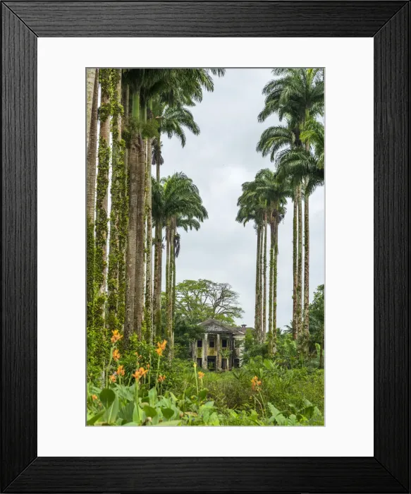 Framed Print : Africa, SA£o Toma and Principe. Abandoned farm house near to Praia Pesqueria Framed Print : Africa, SA£o Toma and Principe. Abandoned farm house near to Praia Pesqueria