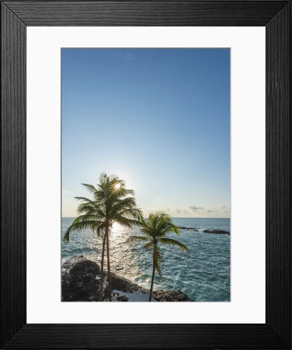 Framed Print : Africa, SA£o Toma and Principe. Seascape with palm trees near to Praia Jala on Sao Framed Print : Africa, SA£o Toma and Principe. Seascape with palm trees near to Praia Jala on Sao