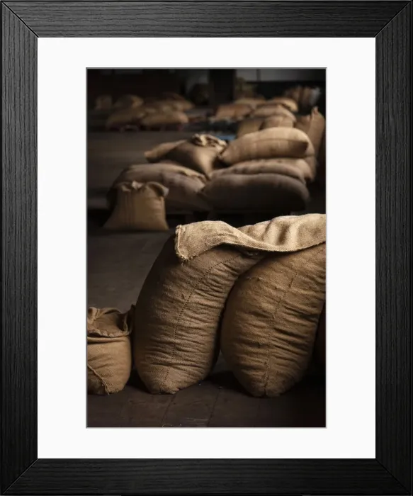 Framed Print : Africa, SA£o Toma and Principe. Bags with dried cocoa beans Framed Print : Africa, SA£o Toma and Principe. Bags with dried cocoa beans