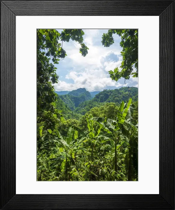 Framed Print : Africa, SA£o Toma and Principe. Typical landscape of Sao Toma Island Framed Print : Africa, SA£o Toma and Principe. Typical landscape of Sao Toma Island