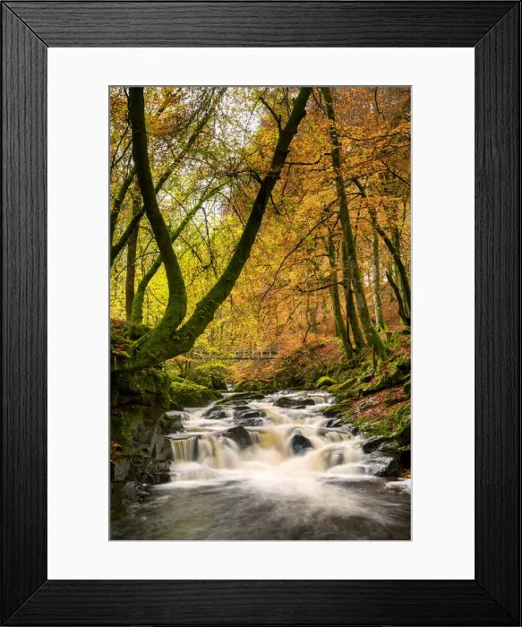 Framed Print : Birks of Aberfeldy in Autumn, Aberfeldy, Highland Perthshire, Scotland Framed Print : Birks of Aberfeldy in Autumn, Aberfeldy, Highland Perthshire, Scotland