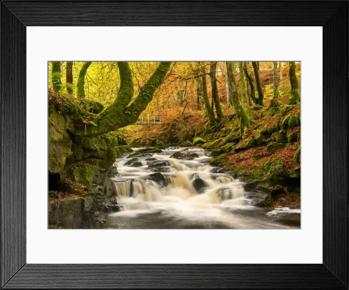 Framed Print : Birks of Aberfeldy in Autumn, Aberfeldy, Highland Perthshire, Scotland Framed Print : Birks of Aberfeldy in Autumn, Aberfeldy, Highland Perthshire, Scotland