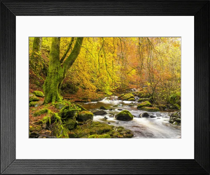 Framed Print : Birks of Aberfeldy in Autumn, Aberfeldy, Highland Perthshire, Scotland Framed Print : Birks of Aberfeldy in Autumn, Aberfeldy, Highland Perthshire, Scotland