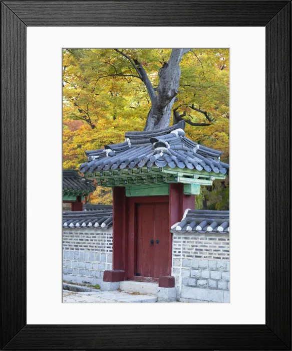 Framed Print : Secret Garden in Changdeokgung Palace (UNESCO World Heritage Site), Seoul, South Korea Framed Print : Secret Garden in Changdeokgung Palace (UNESCO World Heritage Site), Seoul, South Korea