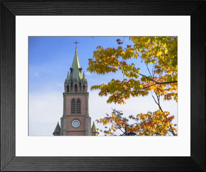 Framed Print : Myeongdong Cathedral, Seoul, South Korea Framed Print : Myeongdong Cathedral, Seoul, South Korea