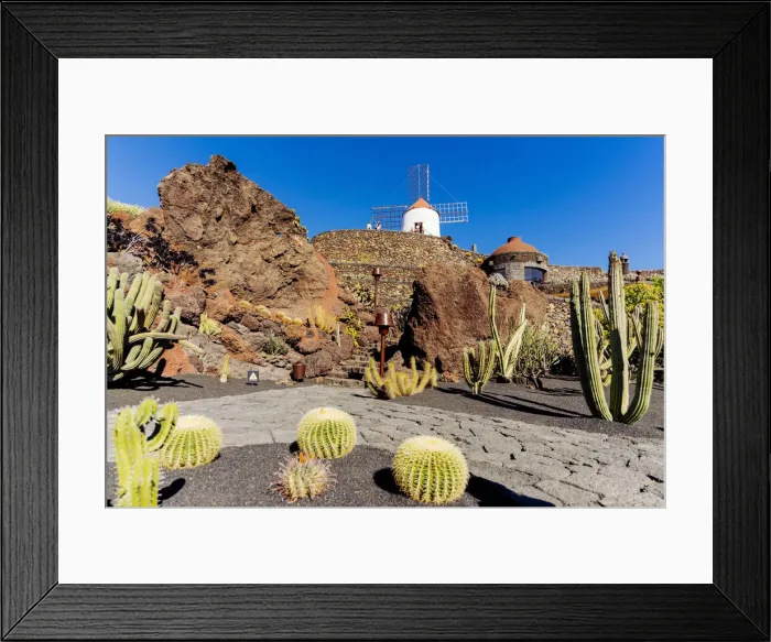 Framed Print : Spain, Canary Islands, Lanzarote Island, Guatiza, the Cactus garden draw by Cesar Framed Print : Spain, Canary Islands, Lanzarote Island, Guatiza, the Cactus garden draw by Cesar