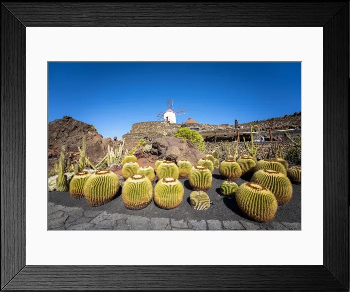 Framed Print : Jardin de Cactus, garden by Cesar Manrique. Lanzarote, Canary Islands, Spain Framed Print : Jardin de Cactus, garden by Cesar Manrique. Lanzarote, Canary Islands, Spain