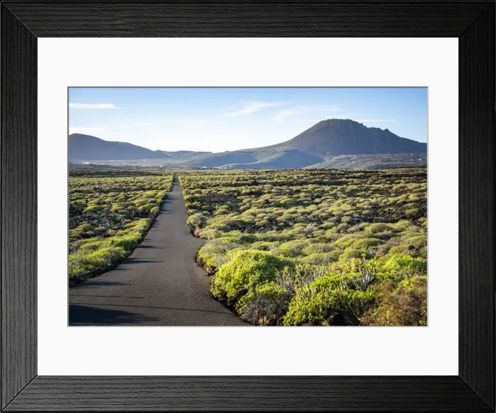 Framed Print : Desert road with bush vegetation and volcano in background, Lanzarote, Canary Islands