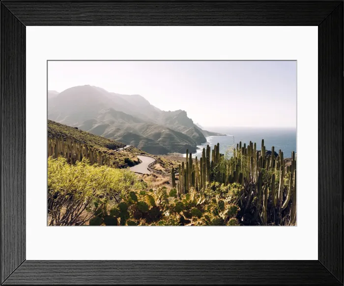 Framed Print : Cactus and scenic road by the ocean in Gran Canaria, Canaries. Gc -200 drive Framed Print : Cactus and scenic road by the ocean in Gran Canaria, Canaries. Gc -200 drive