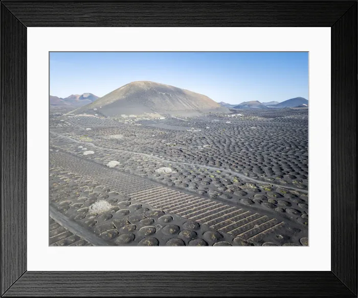 Framed Print : La Geria volcanic landscape with vineyards, Lanzarote, Canary Islands, Spain Framed Print : La Geria volcanic landscape with vineyards, Lanzarote, Canary Islands, Spain