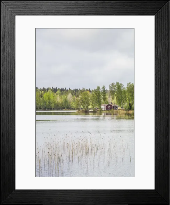 Framed Print : Sweden, Southeast Sweden, Skullaryd, lake view, springtime Framed Print : Sweden, Southeast Sweden, Skullaryd, lake view, springtime