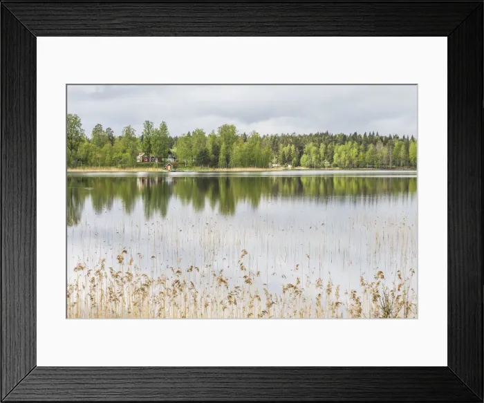Framed Print : Sweden, Southeast Sweden, Skullaryd, lake view, springtime Framed Print : Sweden, Southeast Sweden, Skullaryd, lake view, springtime