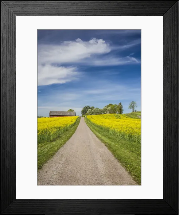 Framed Print : Sweden, Southeast Sweden, Bergs Slussar, springtime landscape with country road