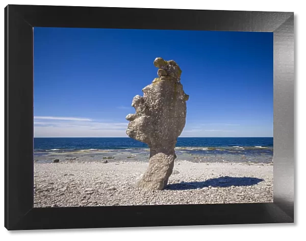 Sweden, Faro Island, Langhammars Area, Langhammar coastal limestone raukar rock