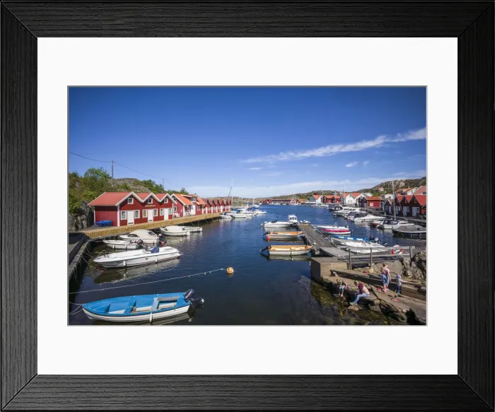 Framed Print : May 2019. Bleket, Bohuslan, Europe, Scandinavia Framed Print : May 2019. Bleket, Bohuslan, Europe, Scandinavia