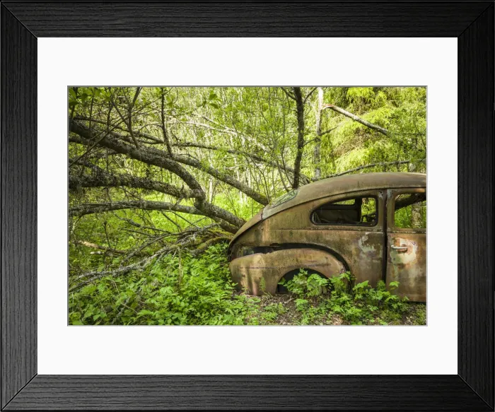 Framed Print : Sweden, Varmland, Bastnas, Bastnas Car Cemetery public park, antique car junkyard