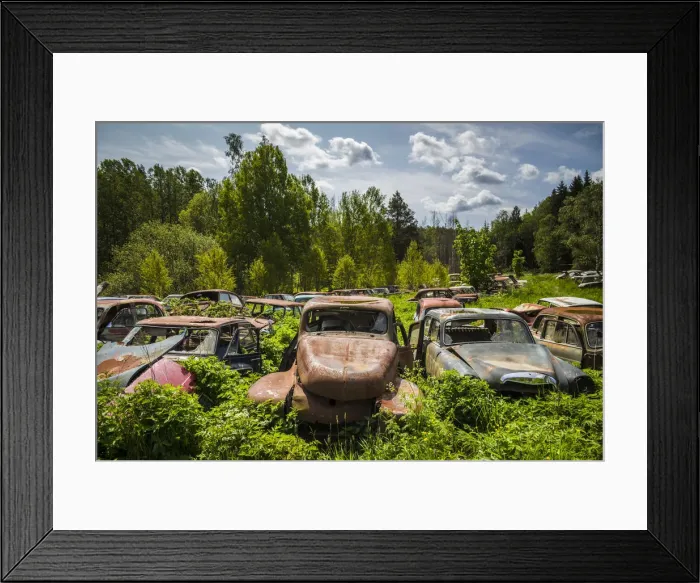 Framed Print : Sweden, Varmland, Bastnas, Bastnas Car Cemetery public park, antique car junkyard Framed Print : Sweden, Varmland, Bastnas, Bastnas Car Cemetery public park, antique car junkyard
