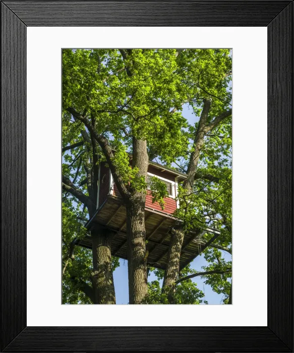Framed Print : Sweden, Vastmanland, Vasteras, Hotell Hackspett, tree house hotel by artist Mikael Framed Print : Sweden, Vastmanland, Vasteras, Hotell Hackspett, tree house hotel by artist Mikael