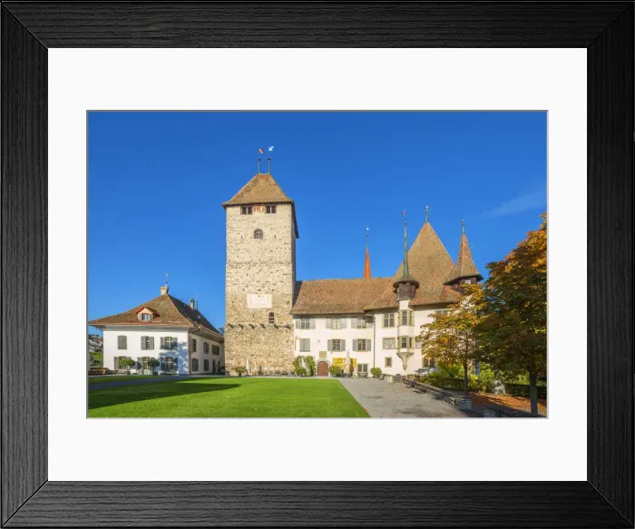 Framed Print : Spiez castle, Spiez, Berner Oberland, Switzerland Framed Print : Spiez castle, Spiez, Berner Oberland, Switzerland