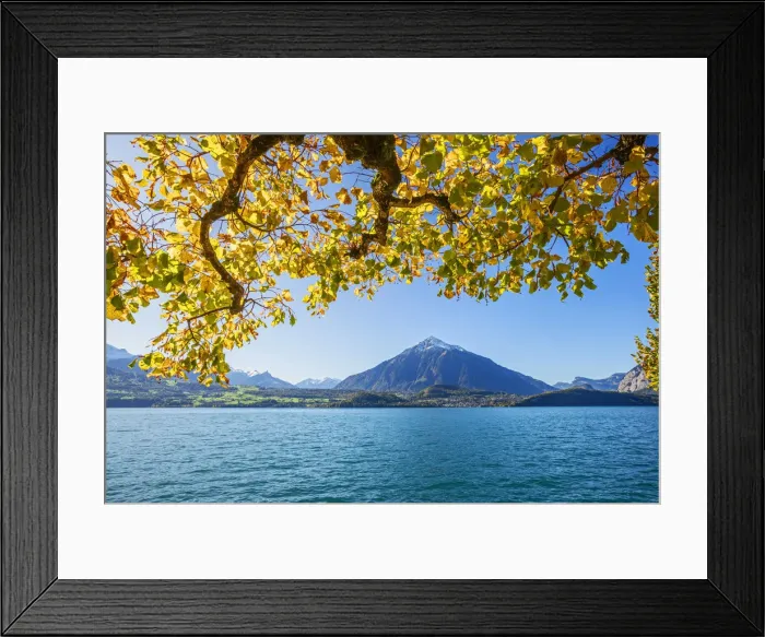 Framed Print : View over Lake Thun on Spiez and Niesen mountain, Berner Oberland, Switzerland