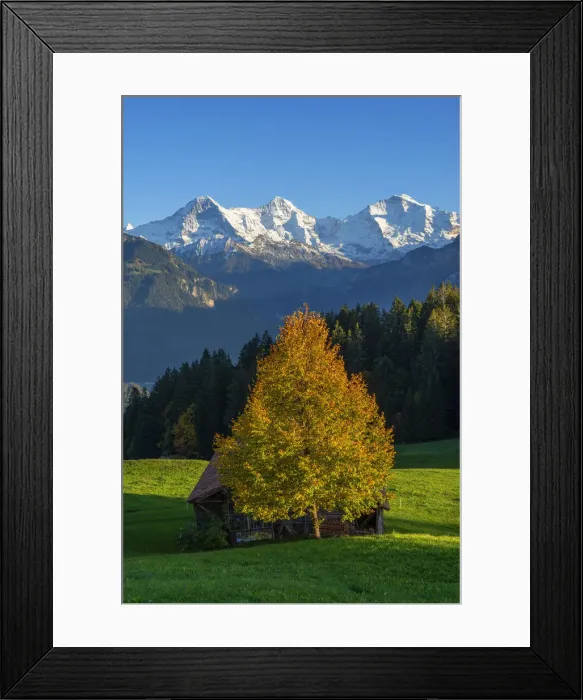 Framed Print : View from Beatenberg on Eiger, Monch and Jungfrau, Berner Oberland, Switzerland Framed Print : View from Beatenberg on Eiger, Monch and Jungfrau, Berner Oberland, Switzerland