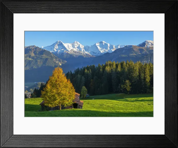 Framed Print : View from Beatenberg on Eiger, Monch and Jungfrau, Berner Oberland, Switzerland Framed Print : View from Beatenberg on Eiger, Monch and Jungfrau, Berner Oberland, Switzerland