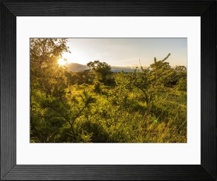 Framed Print : Africa, Tanzania, Loiborsoit. sunset in the Msailand landscape during green season Framed Print : Africa, Tanzania, Loiborsoit. sunset in the Msailand landscape during green season