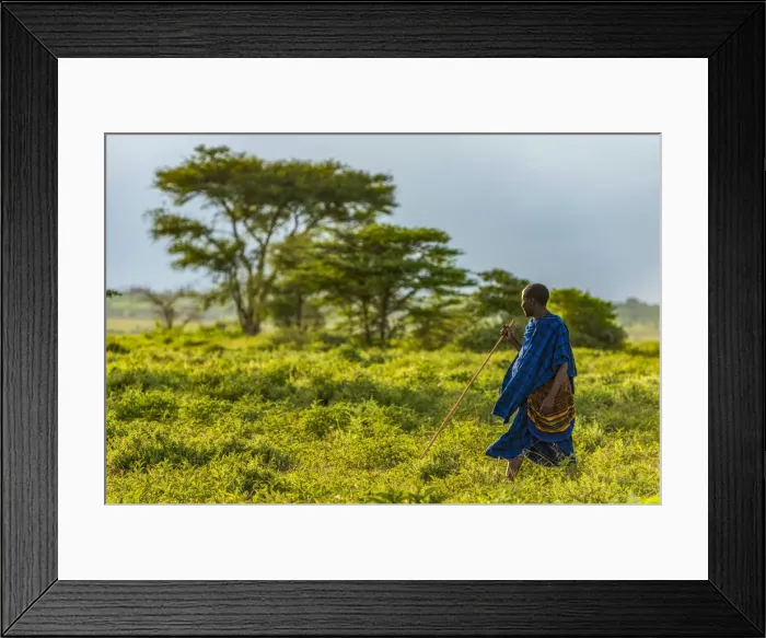 Framed Print : Africa, Tanzania, Loiborsoit. A Msai man walking in the landscape with traditional Framed Print : Africa, Tanzania, Loiborsoit. A Msai man walking in the landscape with traditional