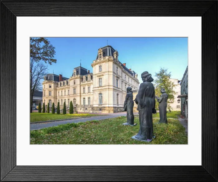 Framed Print : Ukraine, Lviv, Art Gallery, Potocki Palace Built In The 1880 s
