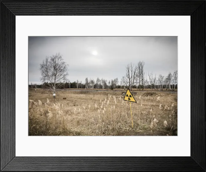 Framed Print : Radiation warning signs, Red Forest, Chernobyl Exclusion Zone, Ukraine Framed Print : Radiation warning signs, Red Forest, Chernobyl Exclusion Zone, Ukraine