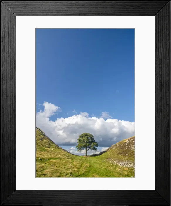 Framed Print : UK, England, Northumberland, Hexham, Henshaw, Hadrians Wall, Sycamore Gap