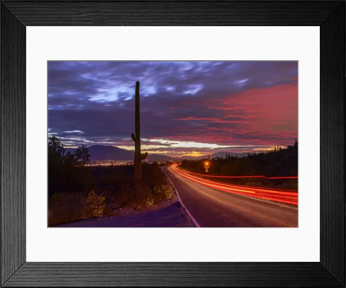 Framed Print : USA; Arizona, Tucson, sunrise with cactus Framed Print : USA; Arizona, Tucson, sunrise with cactus