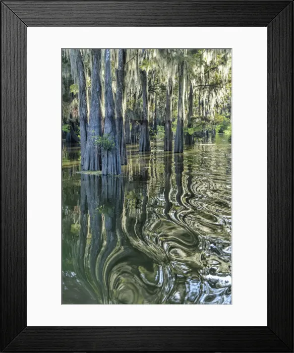 Framed Print : USA, Deep South, Louisiana, Henderson, Atchafalaya Basin Framed Print : USA, Deep South, Louisiana, Henderson, Atchafalaya Basin