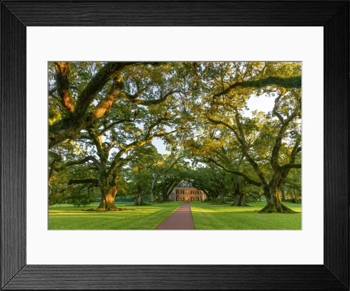 Framed Print : USA, Deep South, Louisiana, Great river Road, Oak Alley Plantation Framed Print : USA, Deep South, Louisiana, Great river Road, Oak Alley Plantation