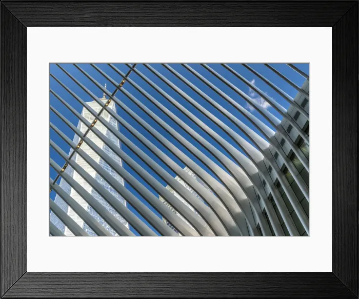 Framed Print : Ribs of Oculus station house designed by architect Santiago Calatrava with One World Framed Print : Ribs of Oculus station house designed by architect Santiago Calatrava with One World