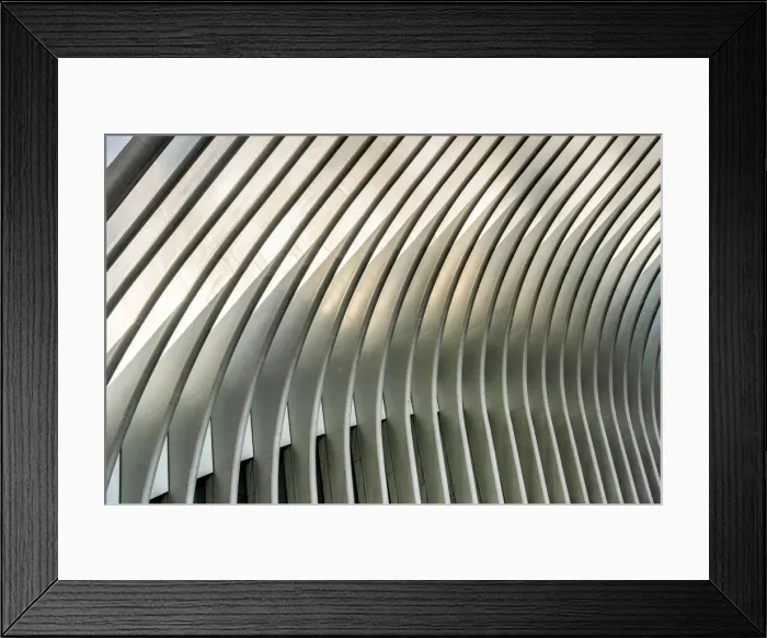 Framed Print : Ribs of Oculus station house designed by architect Santiago Calatrava Framed Print : Ribs of Oculus station house designed by architect Santiago Calatrava