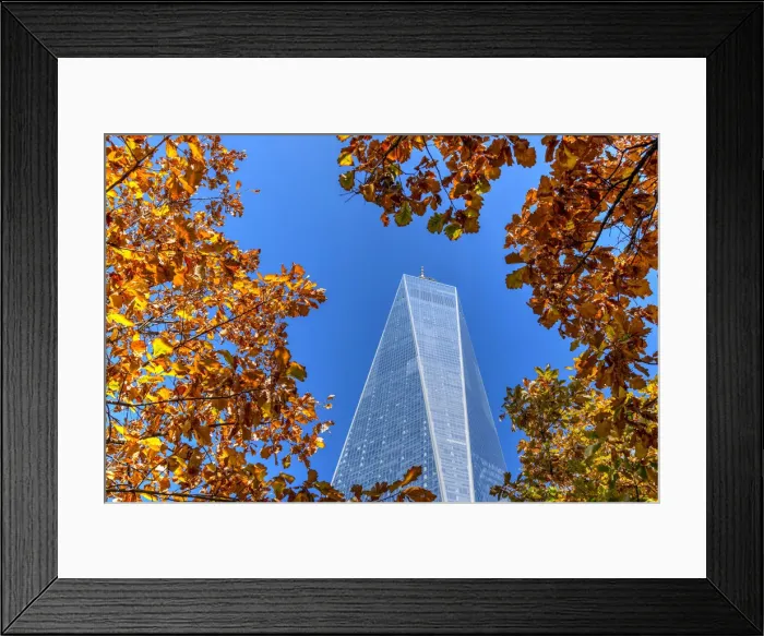 Framed Print : Scenic autumn low angle view of the One World Trade Center, Manhattan, New York, USA Framed Print : Scenic autumn low angle view of the One World Trade Center, Manhattan, New York, USA