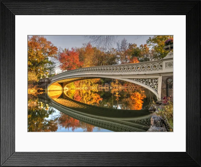 Framed Print : Fall foliage, Bow Bridge, Central Park, Manhattan, New York, USA