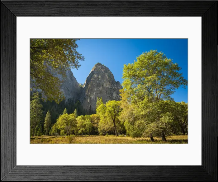 Framed Print : Trees in forest against rocky cliffs of Gunsight peak in Yosemite National Park on sunny Framed Print : Trees in forest against rocky cliffs of Gunsight peak in Yosemite National Park on sunny