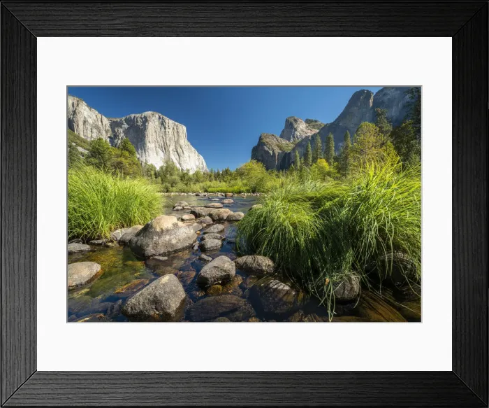 Framed Print : Grasses and rocks in Merced River at Valley View on sunny day, Yosemite National Park Framed Print : Grasses and rocks in Merced River at Valley View on sunny day, Yosemite National Park