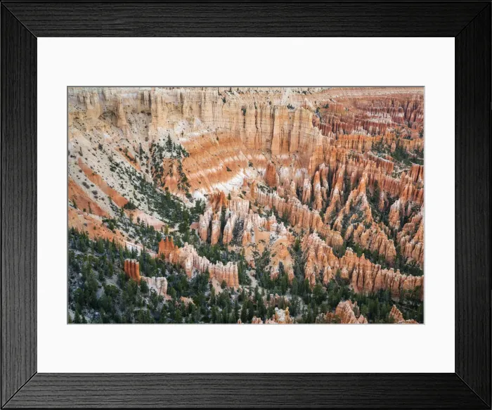 Framed Print : Forest in Bryce canyon surrounded by hoodoos, Bryce Point, Bryce Canyon National Park Framed Print : Forest in Bryce canyon surrounded by hoodoos, Bryce Point, Bryce Canyon National Park