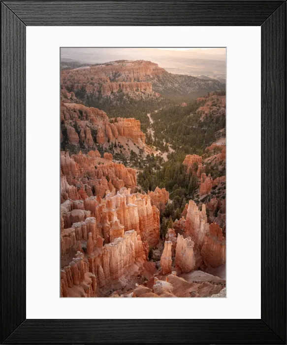 Framed Print : Forest in Bryce canyon surrounded by hoodoos, Bryce Point, Bryce Canyon National Park Framed Print : Forest in Bryce canyon surrounded by hoodoos, Bryce Point, Bryce Canyon National Park