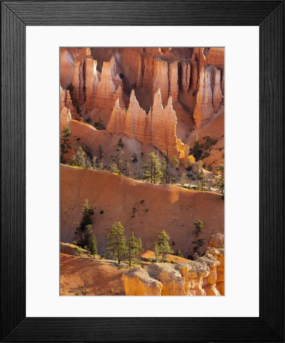 Framed Print : Detail of hoodoos and trees, Sunset Point, Bryce Canyon National Park, Utah, USA Framed Print : Detail of hoodoos and trees, Sunset Point, Bryce Canyon National Park, Utah, USA