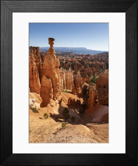 Framed Print : Popular rock formation (hoodoo) named Thors Hammer taken from Navajo Loop Trail Framed Print : Popular rock formation (hoodoo) named Thors Hammer taken from Navajo Loop Trail