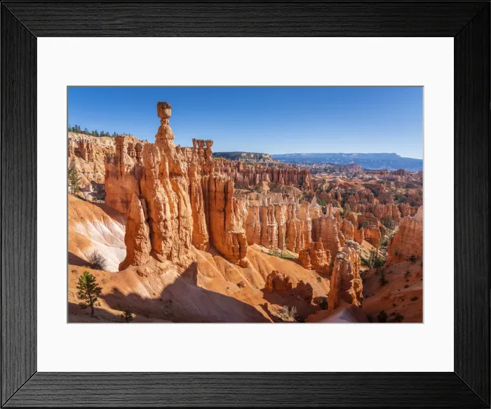Framed Print : October 2019 Framed Print : October 2019