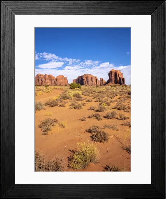 Framed Print : Rock formations and bushes on sunny day in Monument Valley, Arizona, USA Framed Print : Rock formations and bushes on sunny day in Monument Valley, Arizona, USA