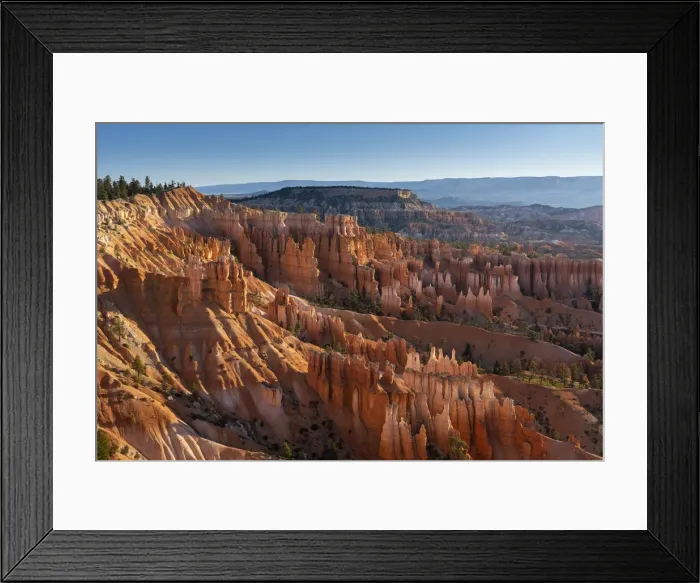 Framed Print : Hoodoos in Bryce Canyon amphitheater after sunrise, Sunset Point Framed Print : Hoodoos in Bryce Canyon amphitheater after sunrise, Sunset Point