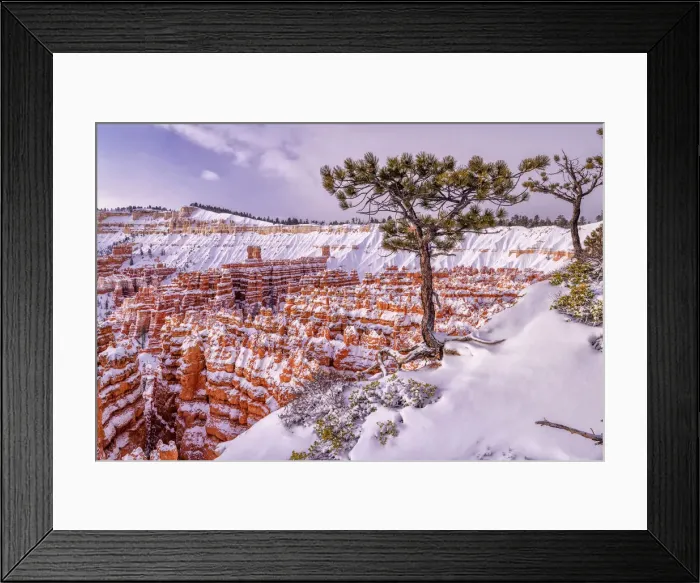 Framed Print : USA, Southwest, Colorado Plateau, Utah, Bryce Canyon, National Park Framed Print : USA, Southwest, Colorado Plateau, Utah, Bryce Canyon, National Park